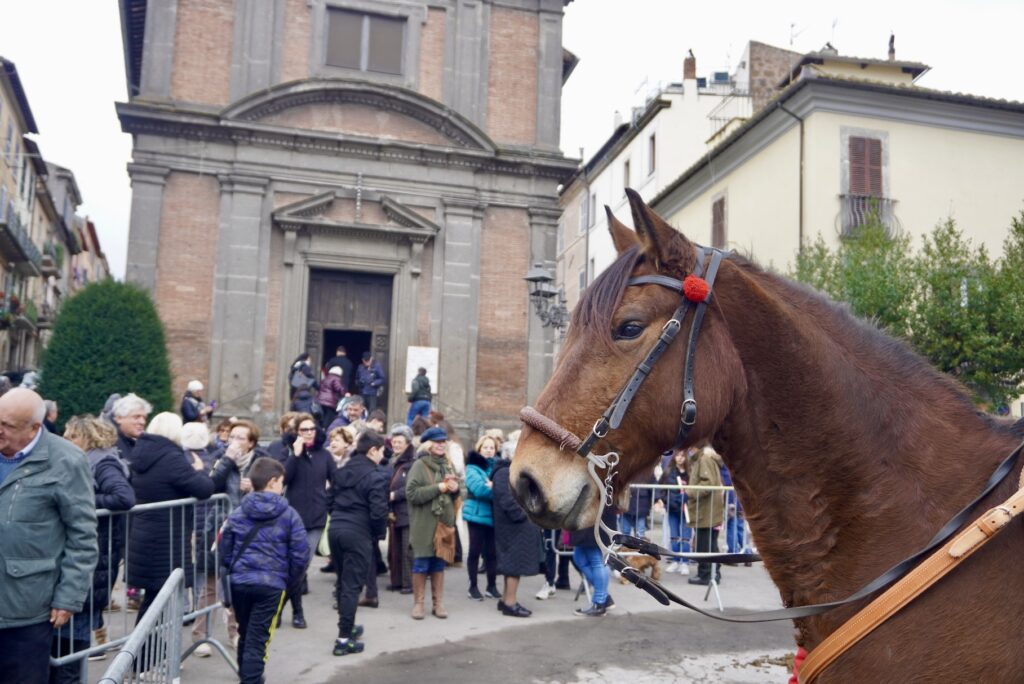 Pferd vor Kirche, Italien, @tierisch-in-fahrt.de