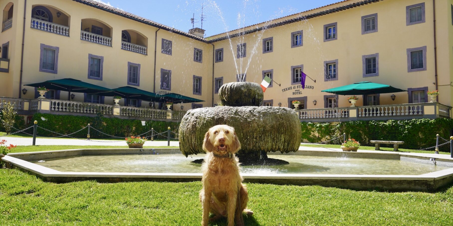 Hundehotel nahe Rom, tierisch-in-fahrt.de