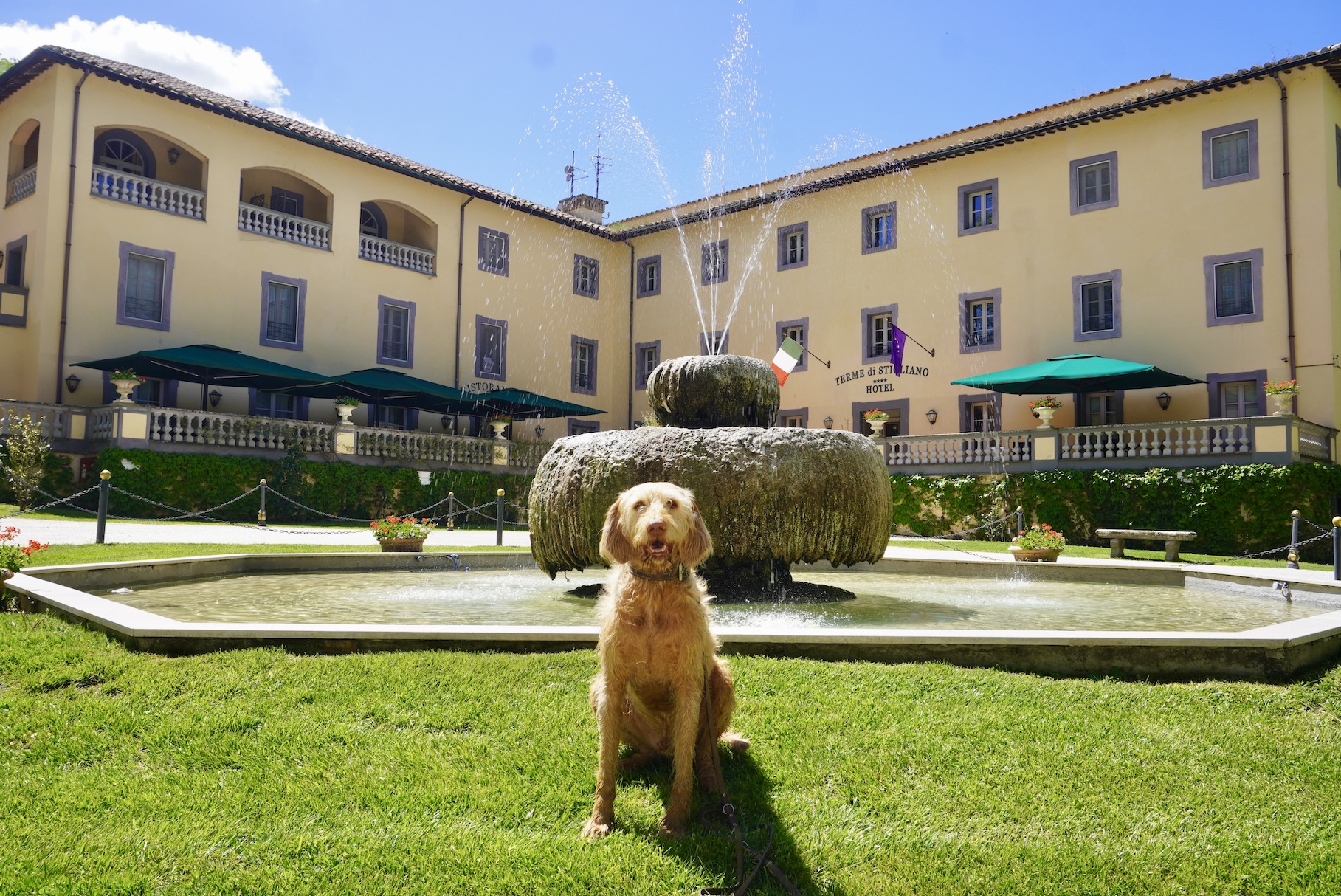 Terme di Stigliano mit Hund, tierisch-in-fahrt.de Hundehotel nahe Rom, tierisch-in-fahrt.de