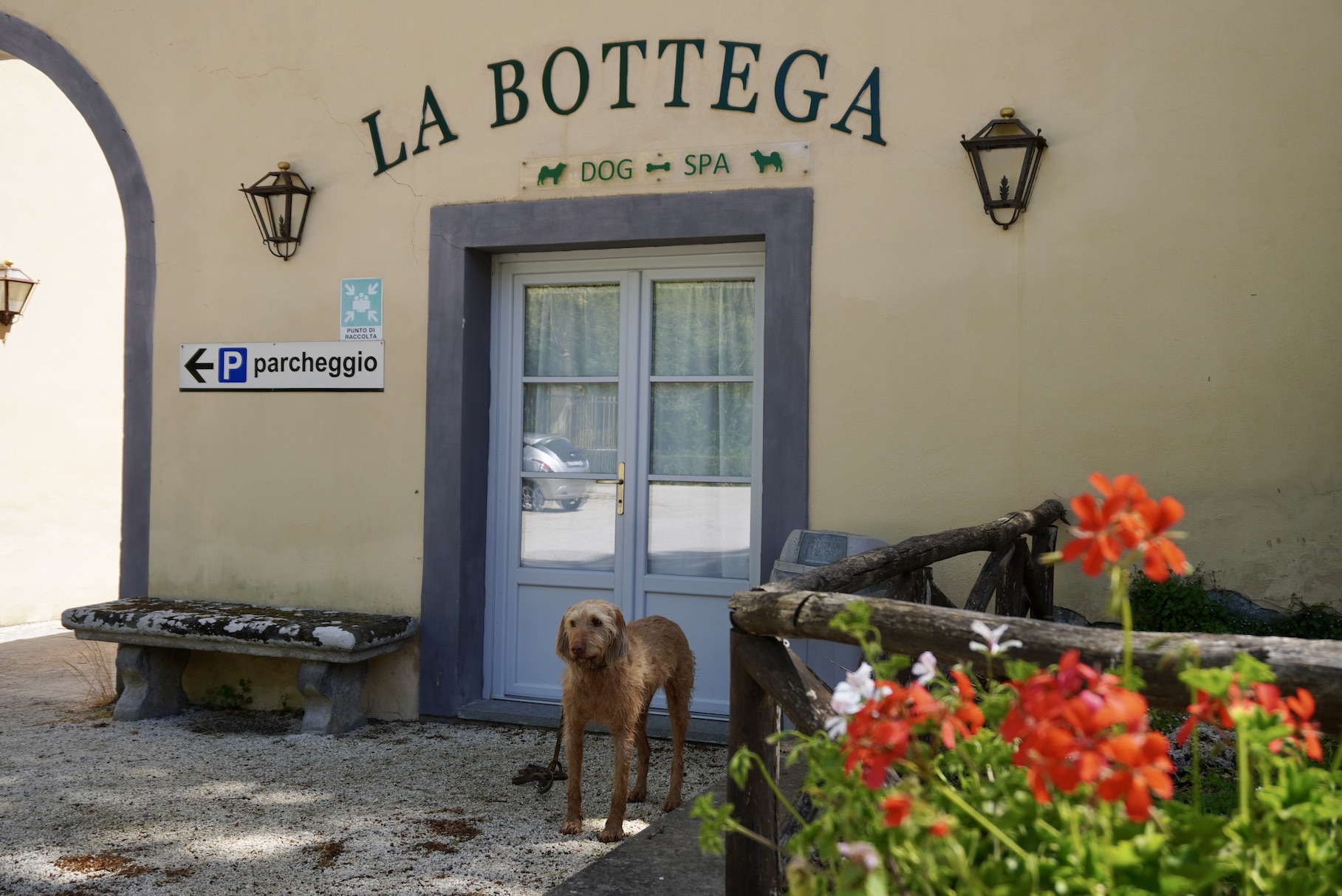 Dog-Spa Italien, tierisch-in-fahrt.de