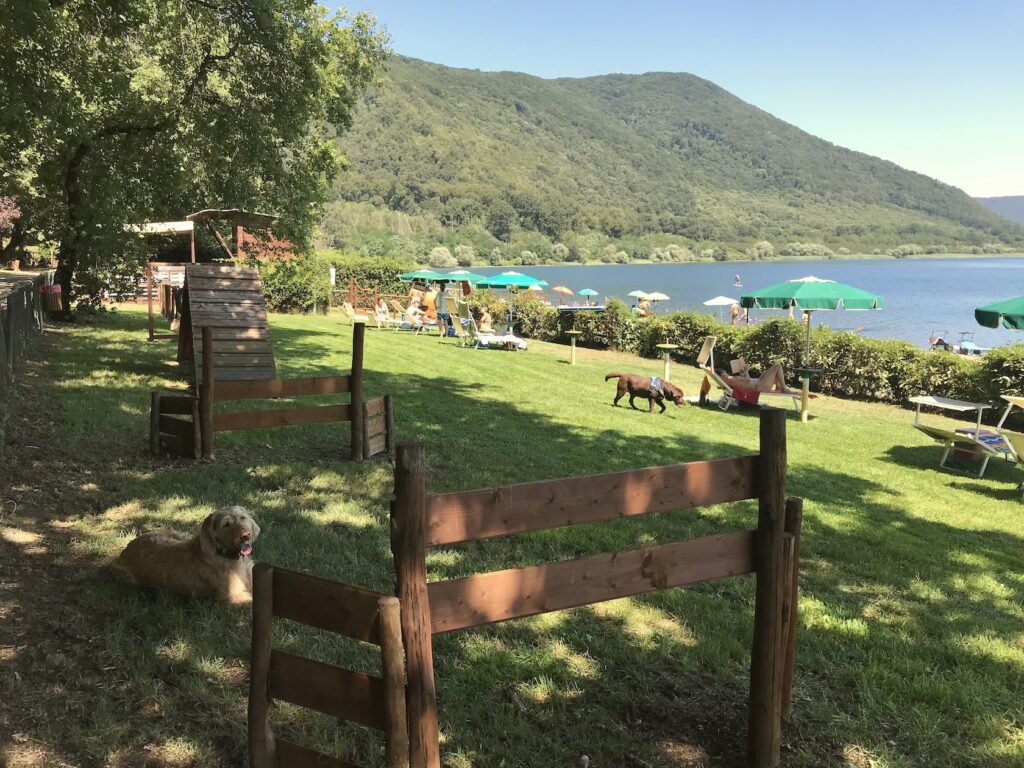 Hundestrandbad am Vicosee, tierisch-in-fahrt.de