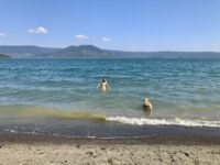 Hundestrand Lago di Vico, tierisch-in-fahrt.de Hundestrand am Vicosee, tierisch-in-fahrt.de