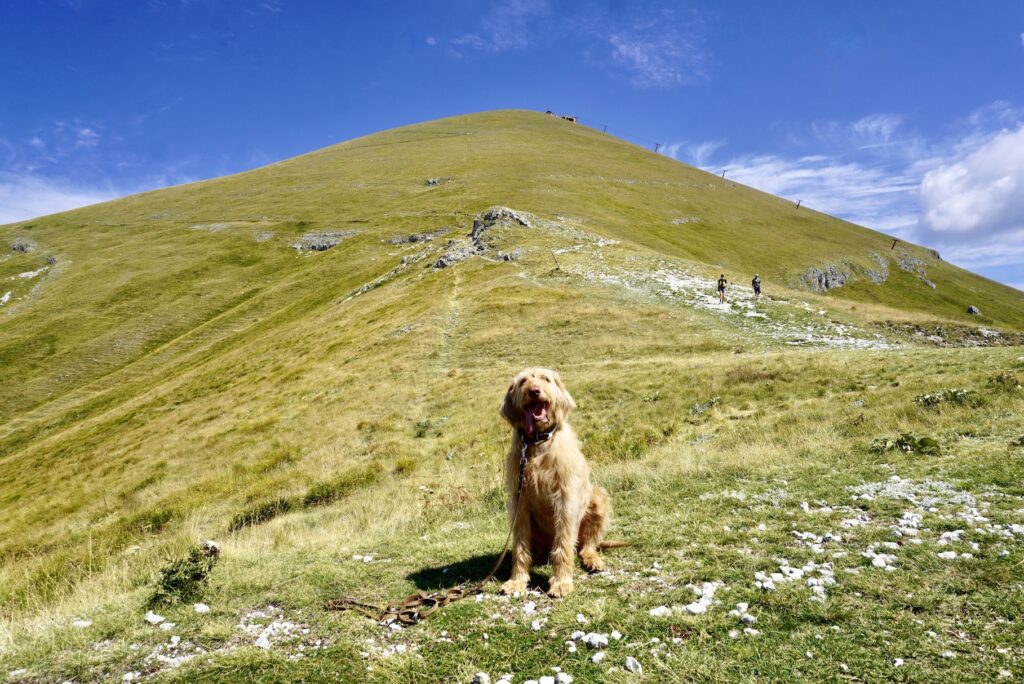 Mit Hund auf den Monte Terminillo, @tierisch-in-fahrt.de