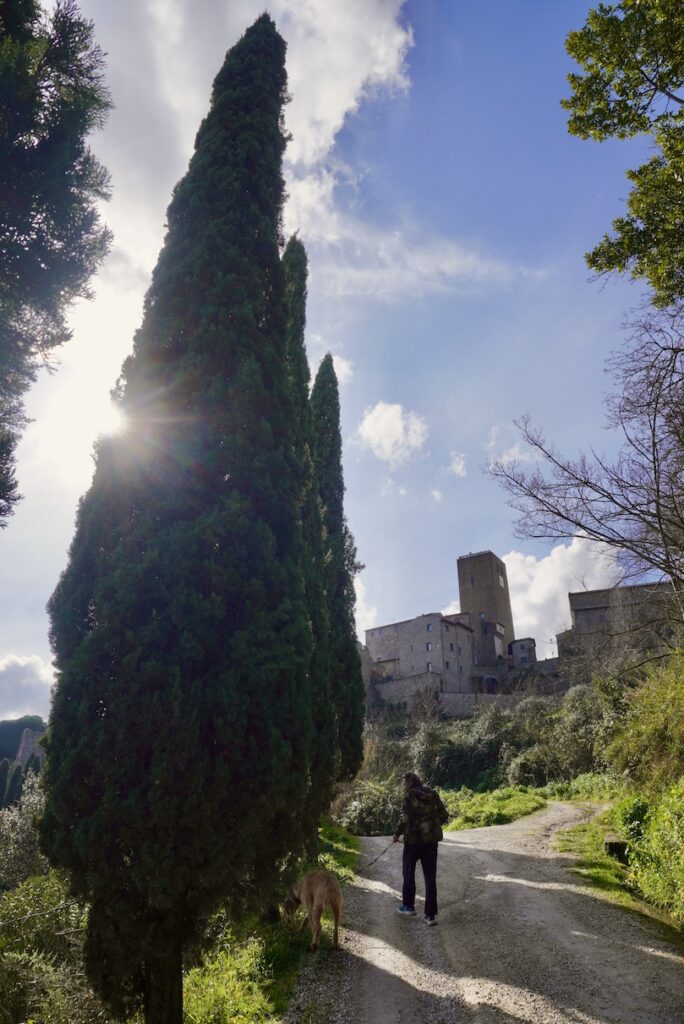 Zypressen Italien, Bassano in Teverina, @tierisch-in-fahrt.de