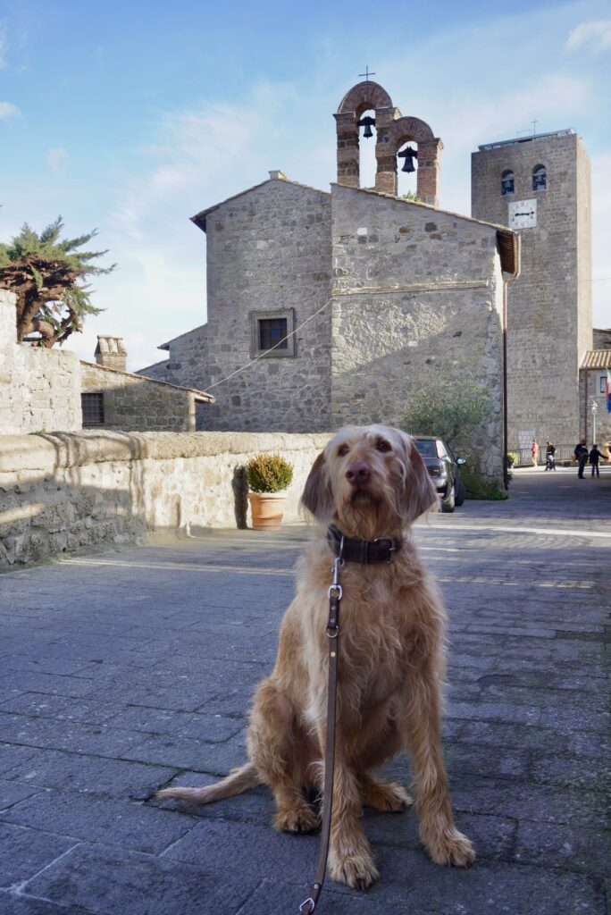 Italien mit Hund, Bassano in Teverina, @tierisch-in-fahrt.de