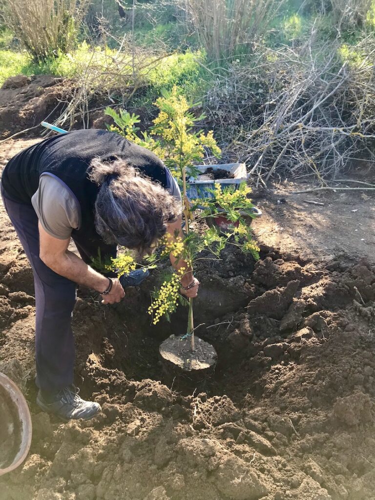 Gartenarbeit Italien, @tierisch-in-fahrt.de