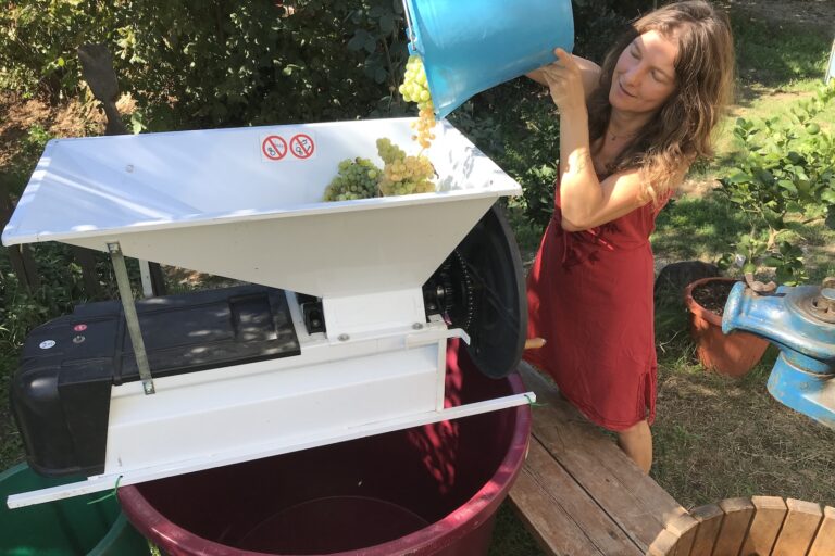 Weinlese in Italien, @tierisch-in-fahrt.de