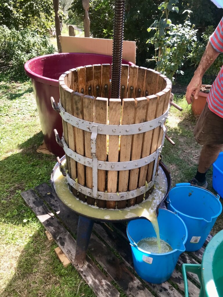 Weinpresse, @tierisch-in-fahrt.de