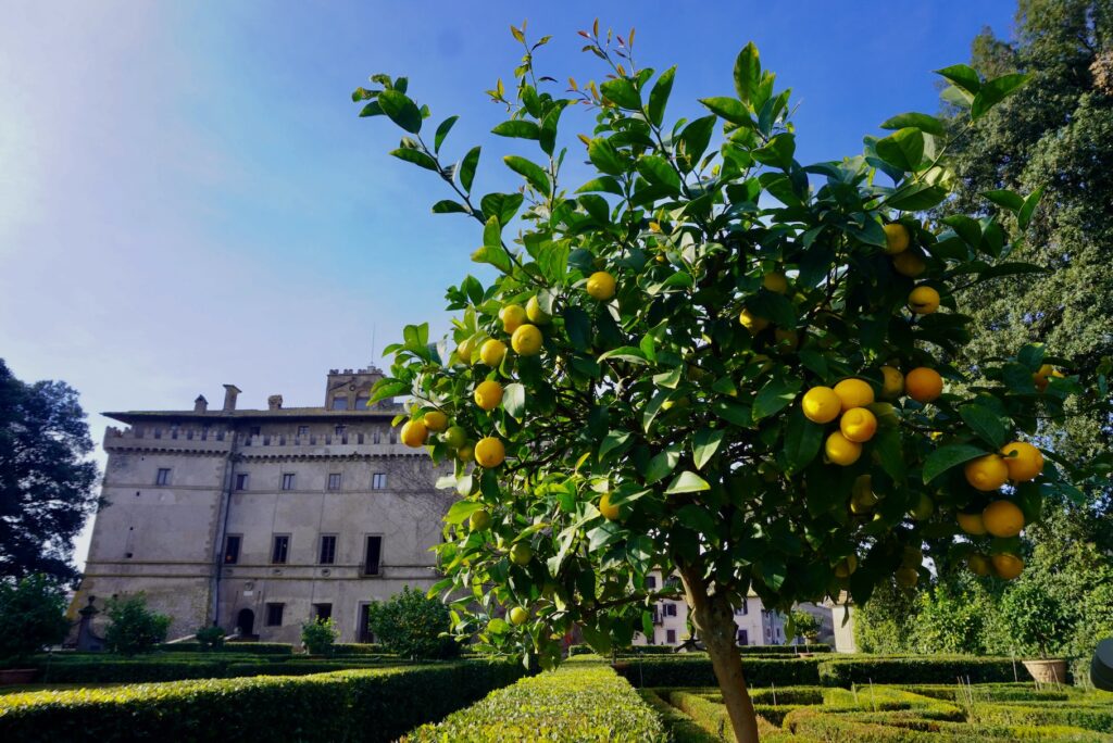 Orangenbaum, Castello Ruspoli, @tierisch-in.fahrt.de