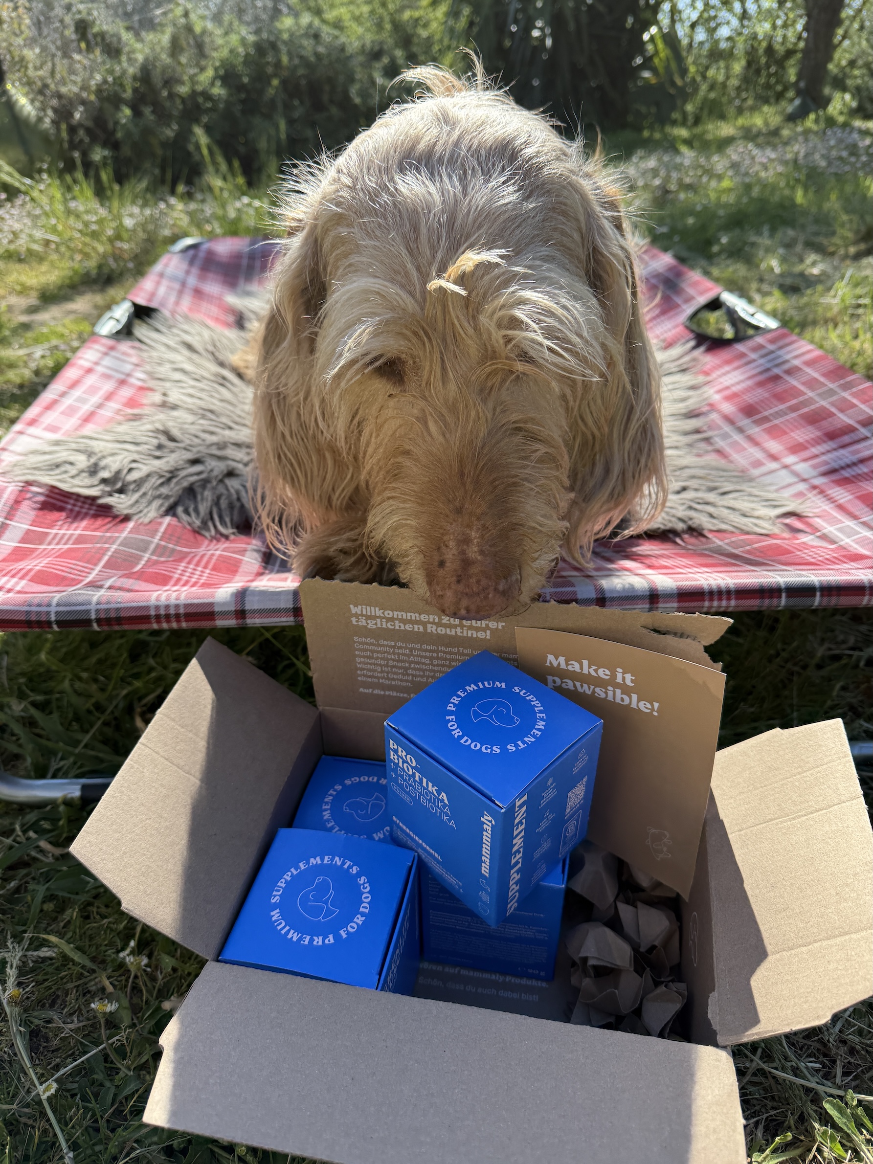 Das Paket von Mammaly ist angekommen, @tierisch-in-fahrt.de