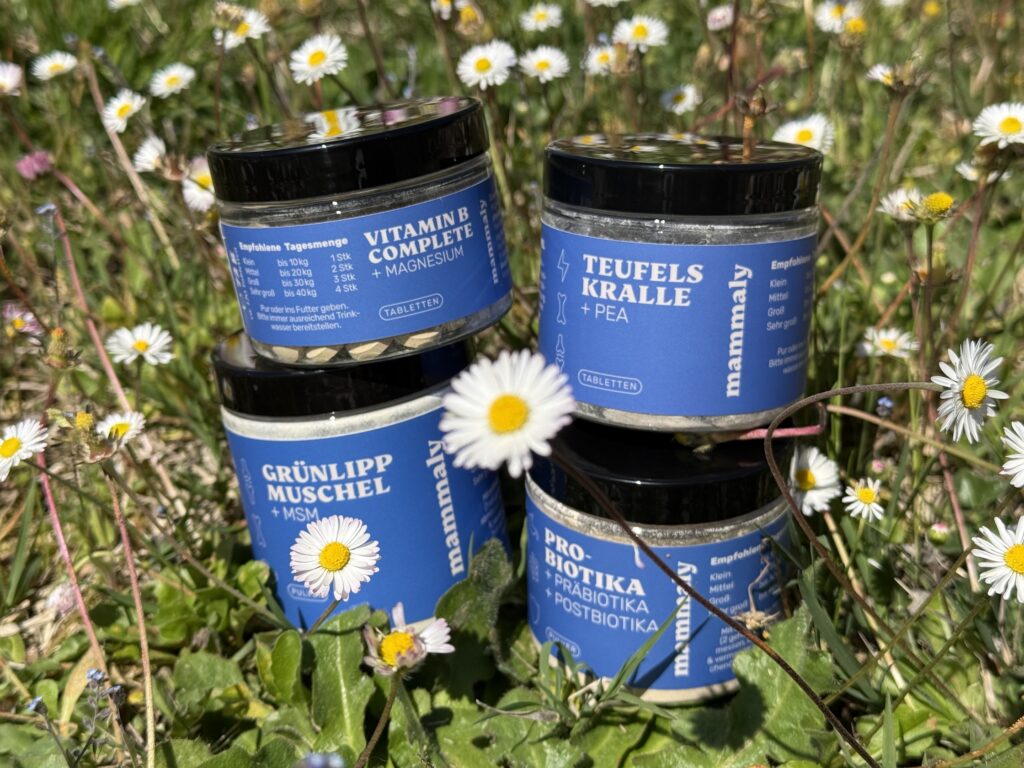 Nahrungsergänzungsmittel Synergieformel Mammaly, @tierisch-in-fahrt.de