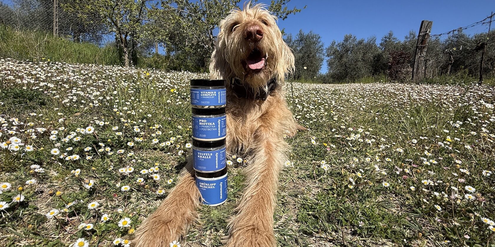 János testet Mammaly Mammaly Produkttester