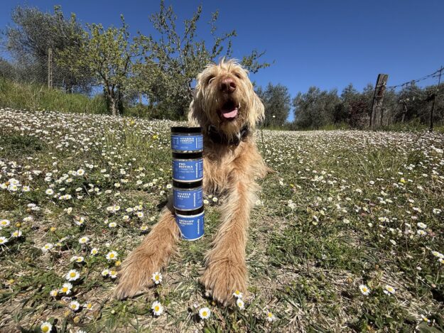 Mammaly Produkttester