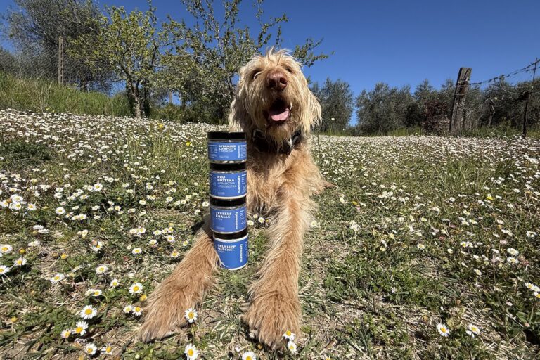 Mammaly Produkttester