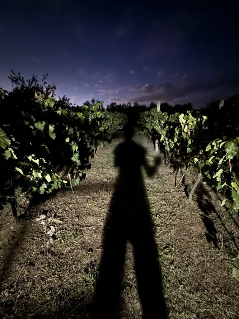 Wein und Krimi. @tierisch-in-fahrt.de
