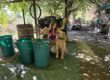 Weinernte 2026 in Italien
