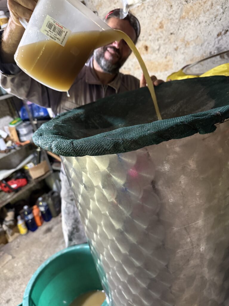 Weinernte, Most kommt in Stahltank @tierisch-in-fahrt.de
